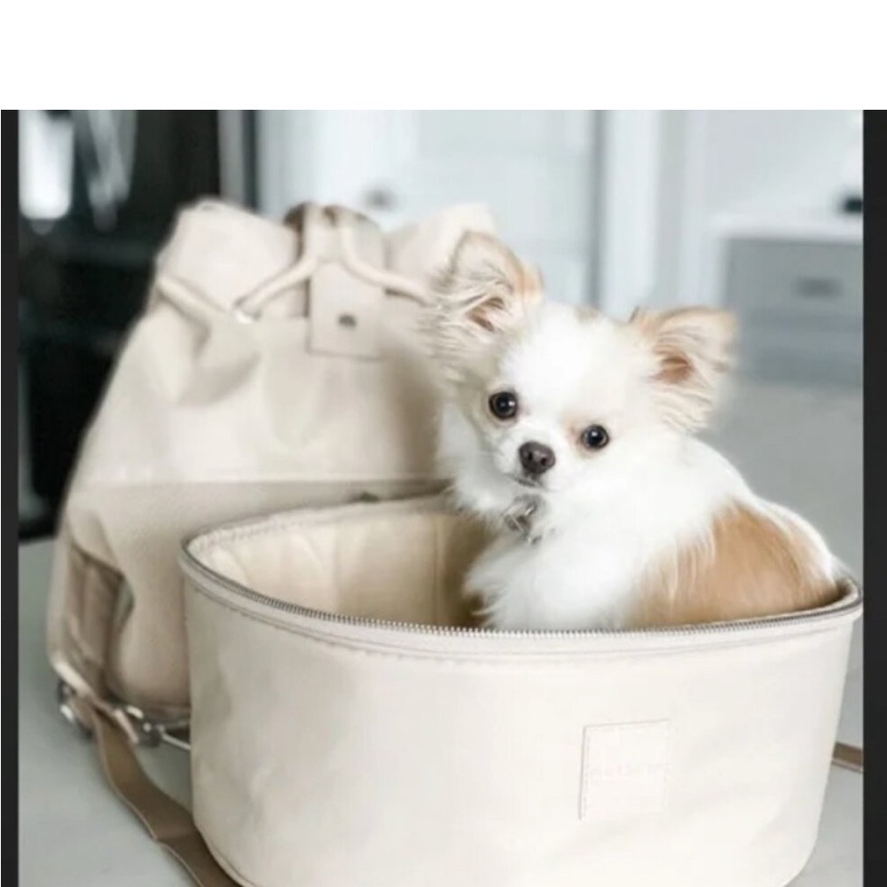 Max bone Nylon Dog Carrier, NWT! - Picture 4 of 10